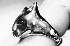 ANELLO GATTO